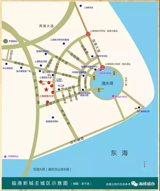 观察｜揭秘上海临港新城海绵城市建设背后的故事