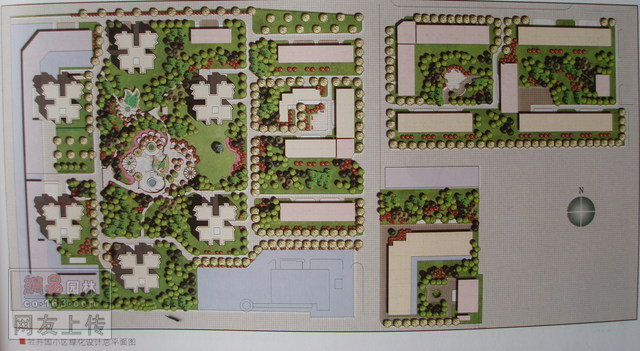 小型牡丹园的建设规划图片