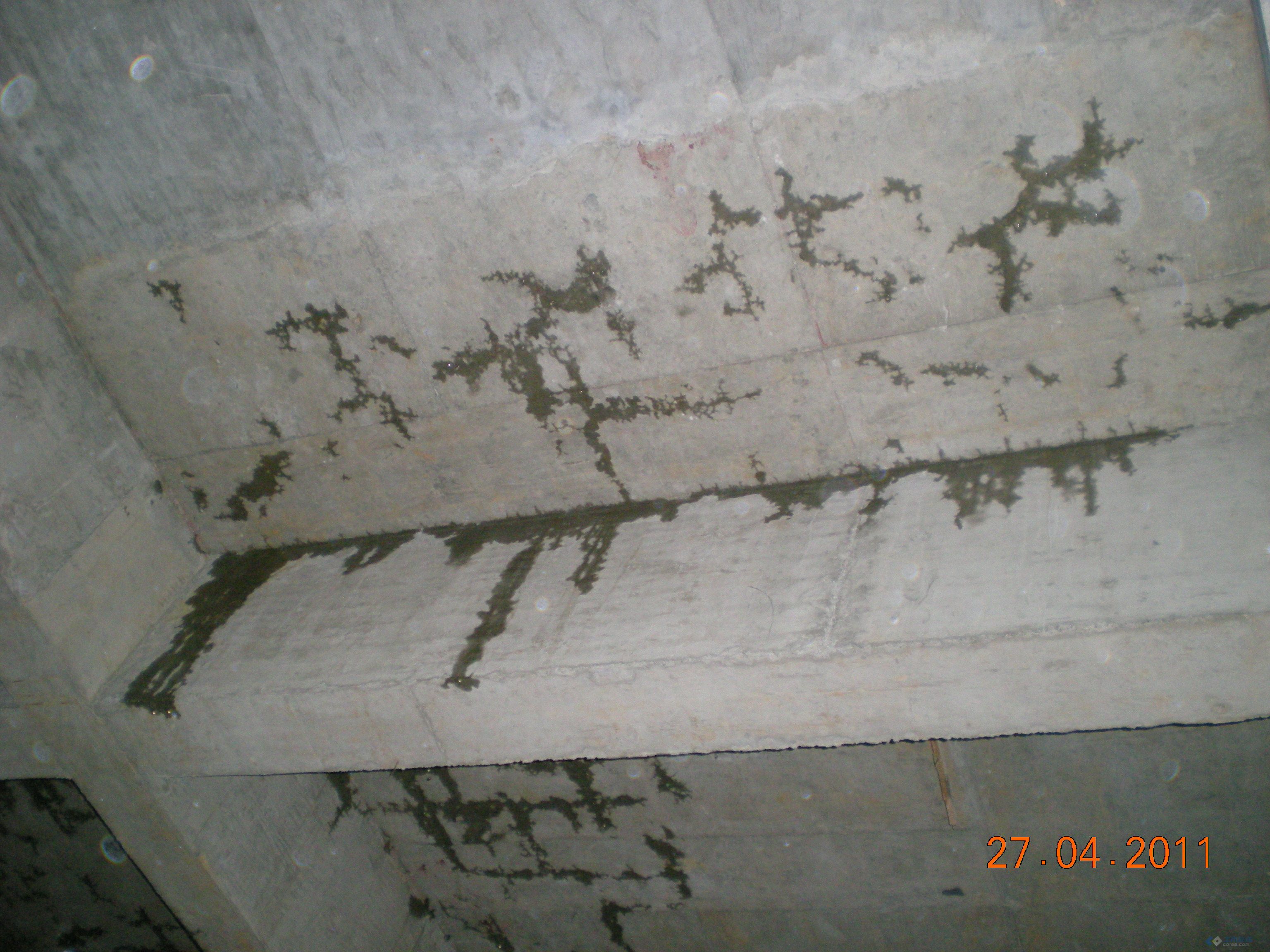 屋面砼浇捣完成后大面积的渗水