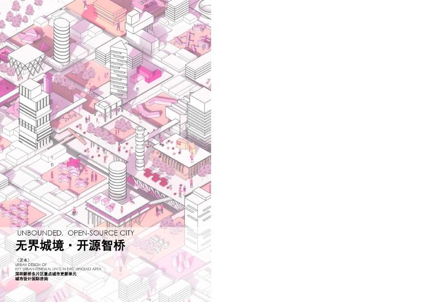 2019 新桥东城市设计规划方案研究报告—深规院 HASSEL图.pdf-图一