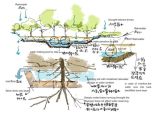 园林植物图片1