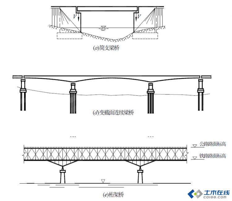 桥臂解剖图图片