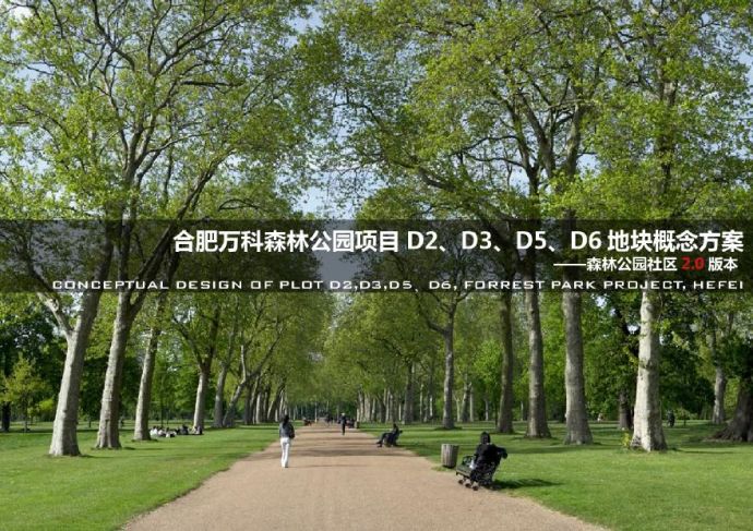 【安徽】合肥万科森林公园项目地块概念方案_图1