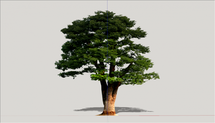 矮根风格大树冠观赏树su模型_图1