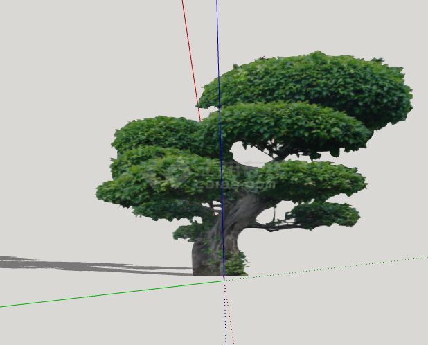 矮状绿色优美造型树su模型-图二