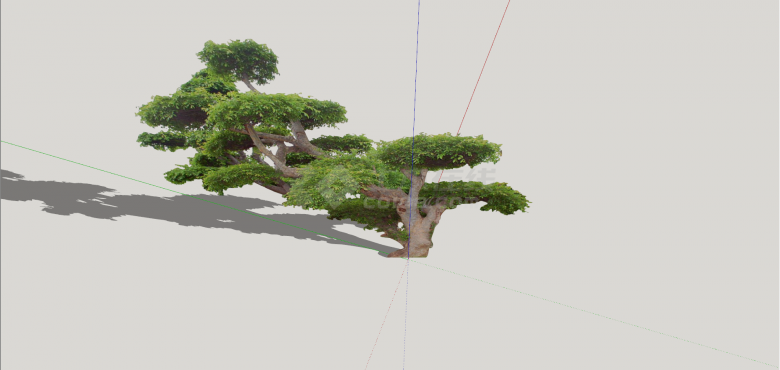 现代2D造型景观树组合su模型-图二