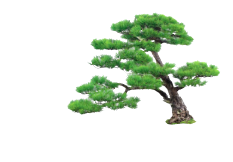 现代青翠欲滴造型树su模型_图1