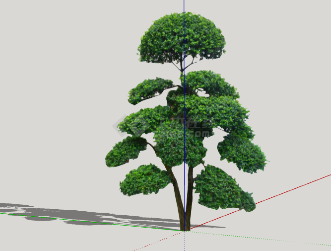 深绿大圆顶造型松树组合su模型-图二