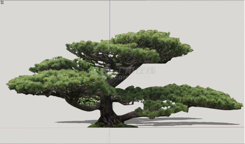 大型多树干植物景观su模型-图二