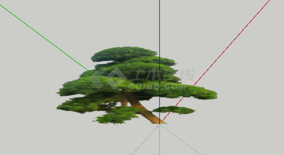 深绿茂密造型松树组合 su模型-图二