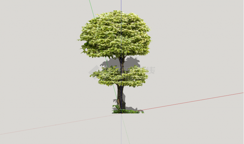 小型伞状植物景观su模型-图一