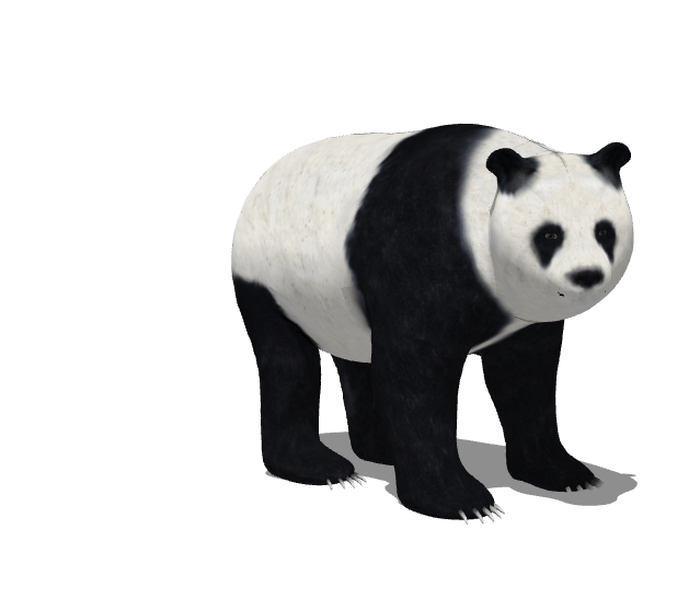 黑白站立憨厚的熊猫su模型_图1