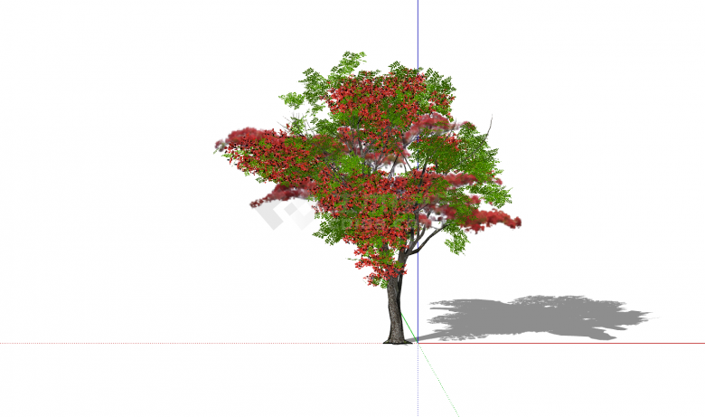 现代红绿夹杂枫树su模型-图一