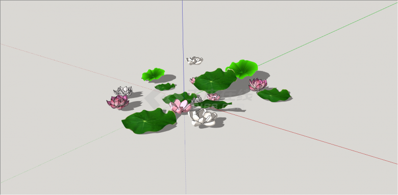 粉白相间荷花和睡莲su模型-图二
