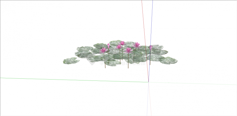 八朵荷花和荷叶睡莲 su模型-图二