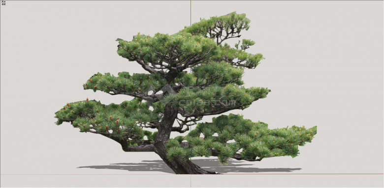 现代可观赏可修剪造型树su模型-图一