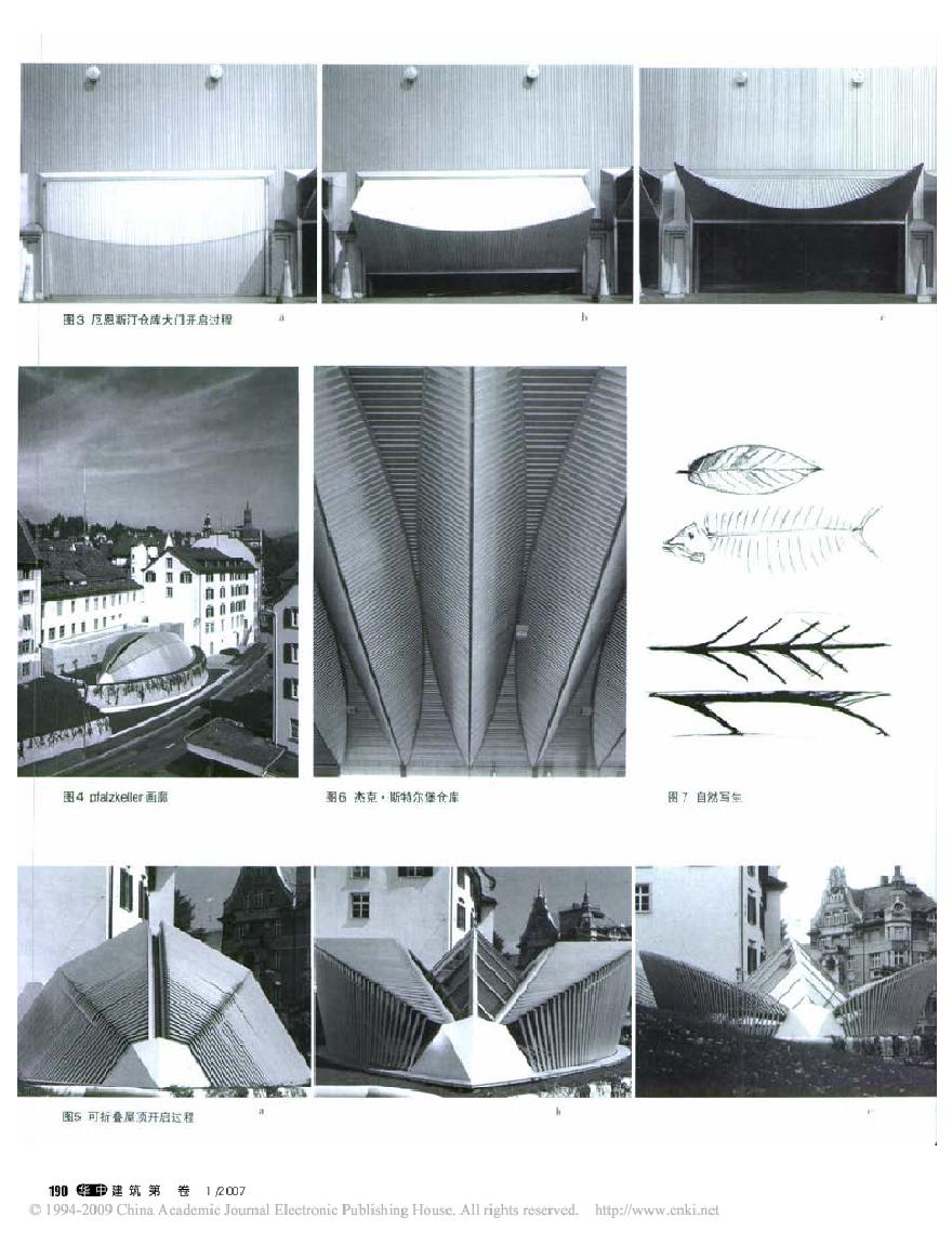 技术的作用力_圣地亚哥_卡拉特拉瓦建筑形态解读.pdf-图二
