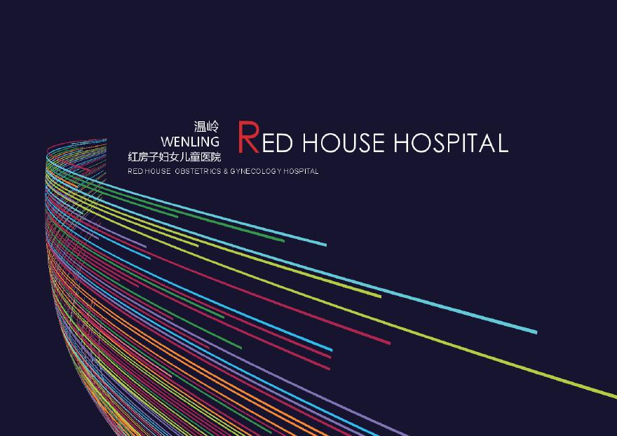 2020年01月 温岭红房子妇女儿童医院方案设计.pdf-图一