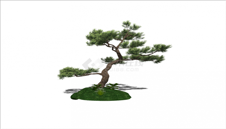 新中式绿色多枝松树景观树su模型-图一