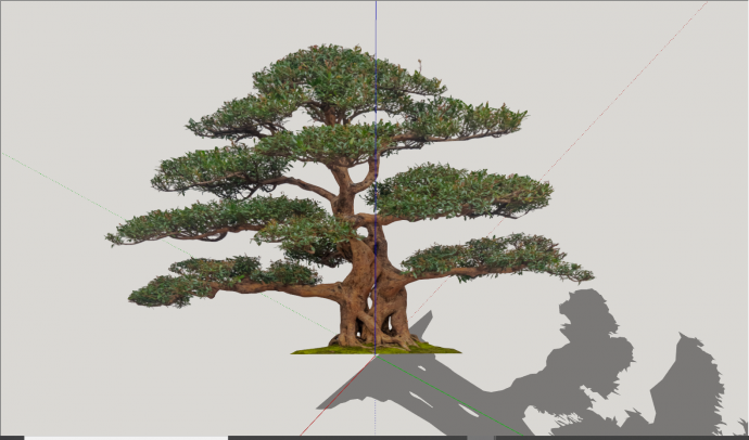 精品简约松树造型树su模型_图1