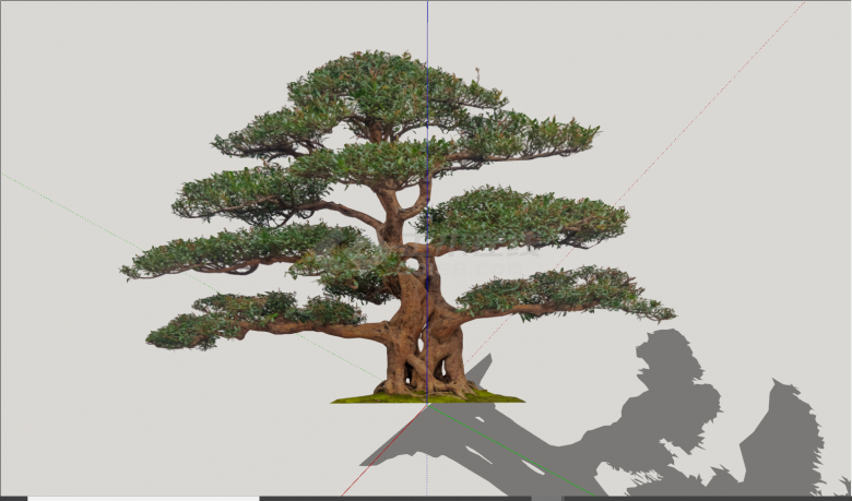 精品简约松树造型树su模型-图一