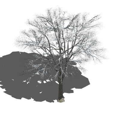 散开的枯木植物树木su模型-图二