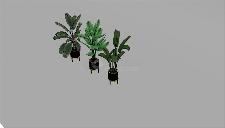 现代客厅景观花盆植物su模型-图二