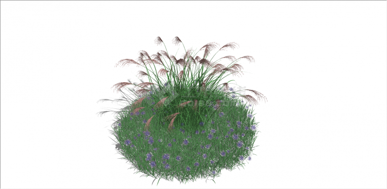 紫红绿色植物草花su模型-图二