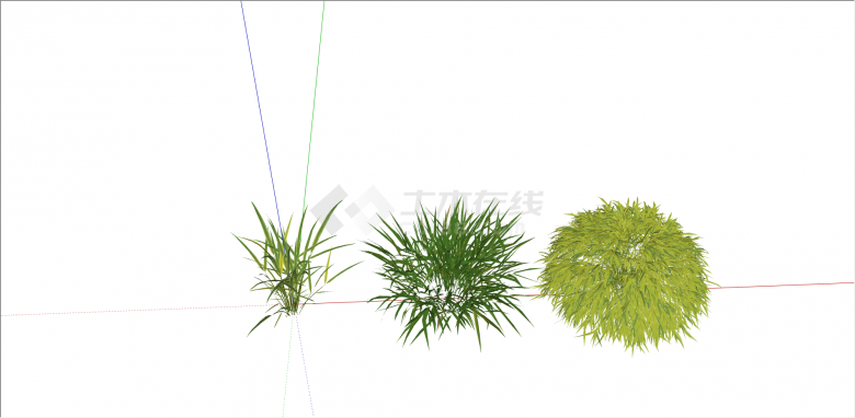 三款不同形状的箱根草su模型-图二