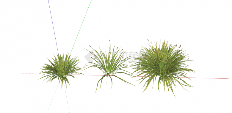 现代三种类类别金叶苔草su模型-图二
