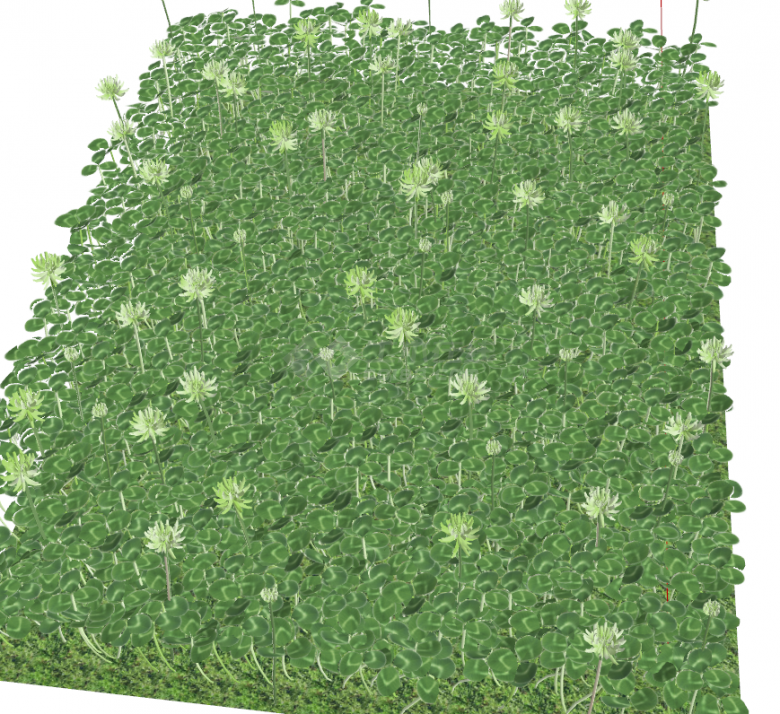 草皮草坪地被水植物su模型-图二
