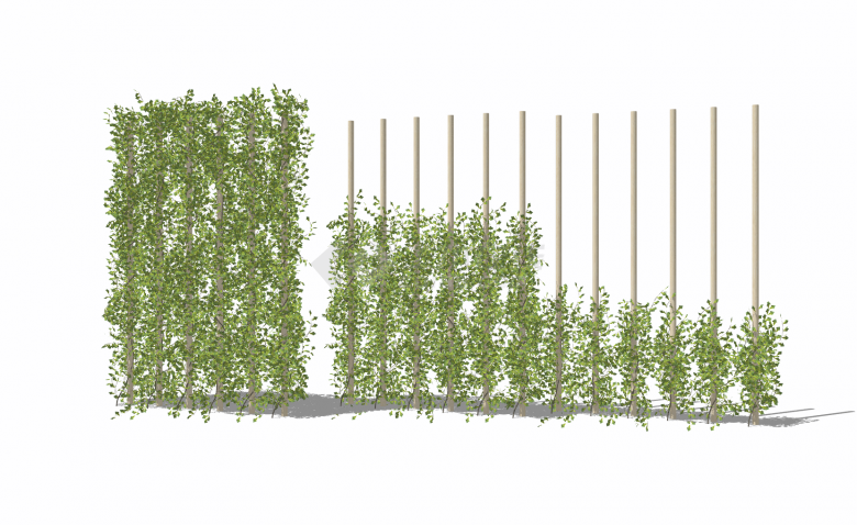 现代景观竹藤垂直绿化su模型-图一