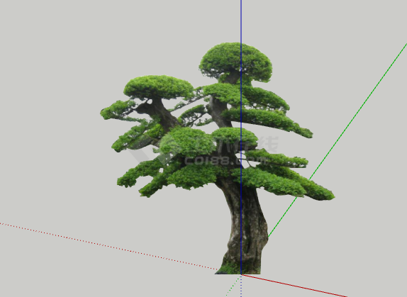 绿色大气绿丝带造型树 su模型-图二