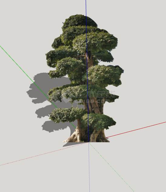 绿色褐色绿丝带造型树 su模型-图二