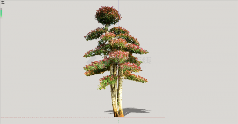 现代红枫绿丝带造型树su模型-图一