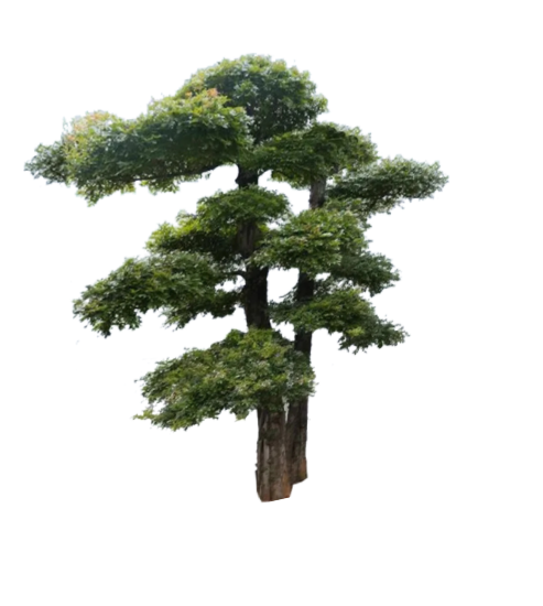 两颗绿色2D造型景观树组合su模型-图二