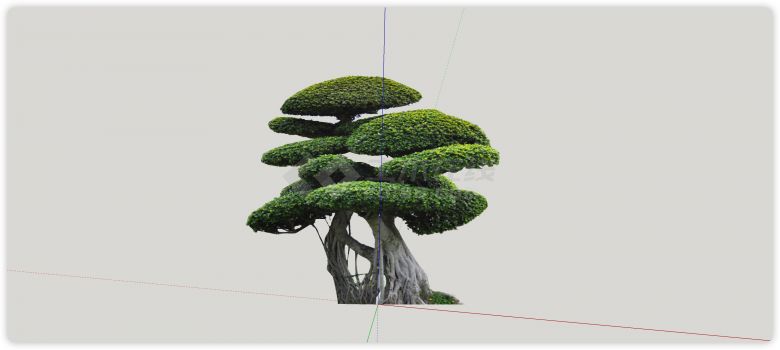 多包椭圆包绿丝带造型树su模型-图二