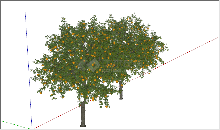 现代景观树庭院黄色果树su模型-图二