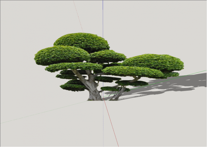 现代造型景观树景观su模型_图1