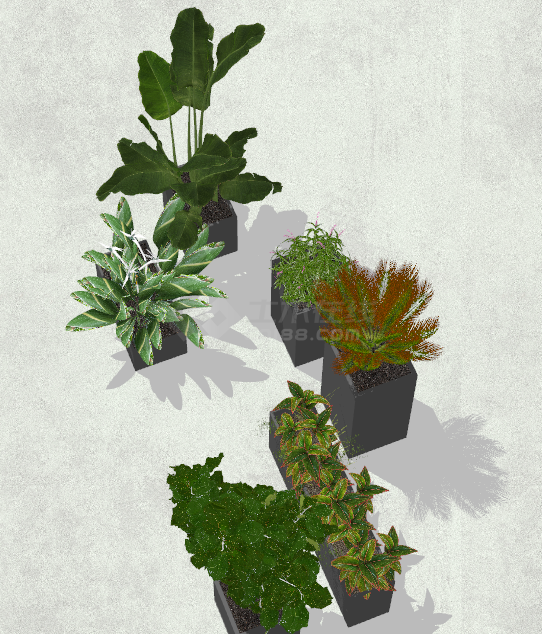 多种植物组合现代绿植盆栽su模型-图一