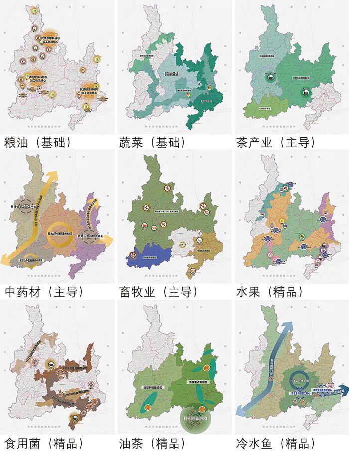 市域乡村振兴战略的空间规划与实施路径——以贵州省铜仁市为例