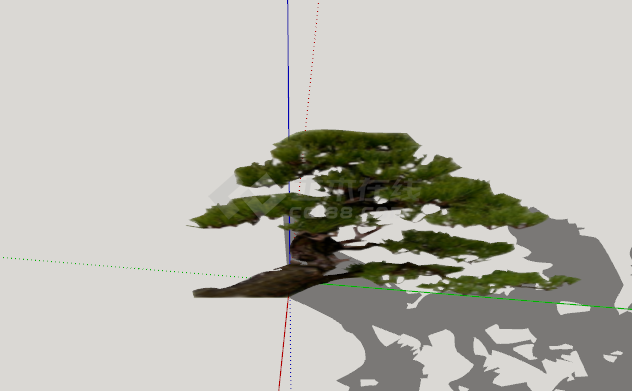 别墅大庭院造型松树su模型-图一