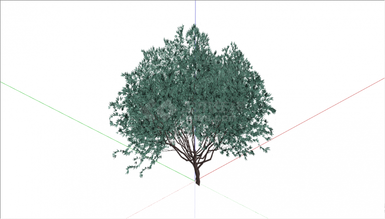 带有茂密树叶的大树su模型-图二