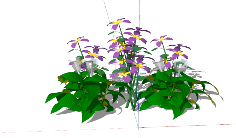 开着紫色带黄心儿漂亮鲜花的花草su模型-图二
