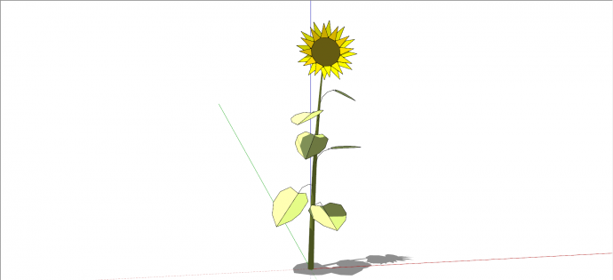黄色向日葵花卉灌木su模型_图1