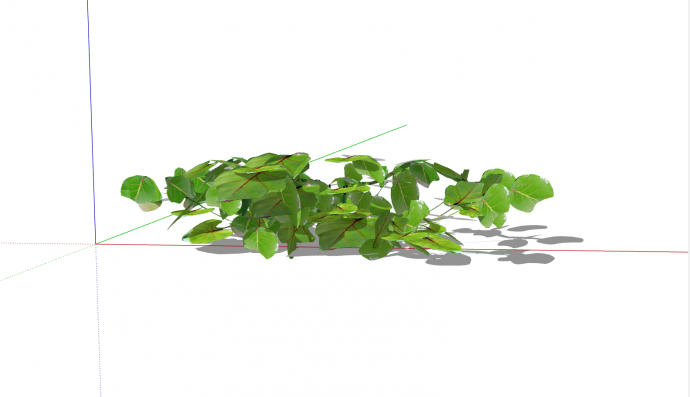 一棵绿色的景观植物su模型_图1