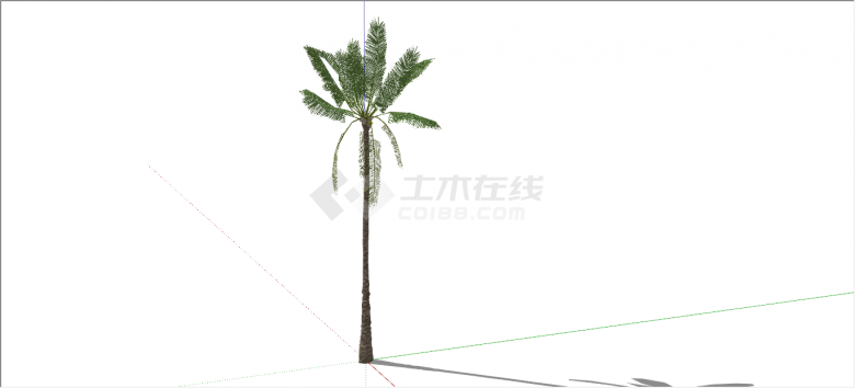 美丽碧绿高大热带树木su模型-图二