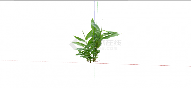 龙舌兰科万寿竹常绿灌木su模型-图二