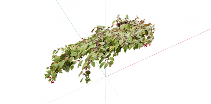 观赏性红绿双色系植物su模型_图1