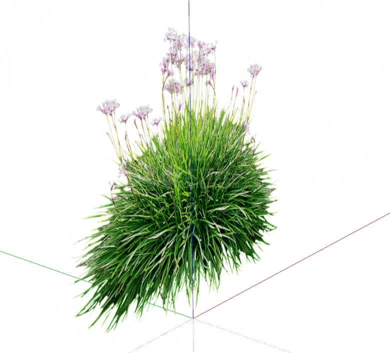 生机勃勃的带紫色小花的草丛su模型-图二